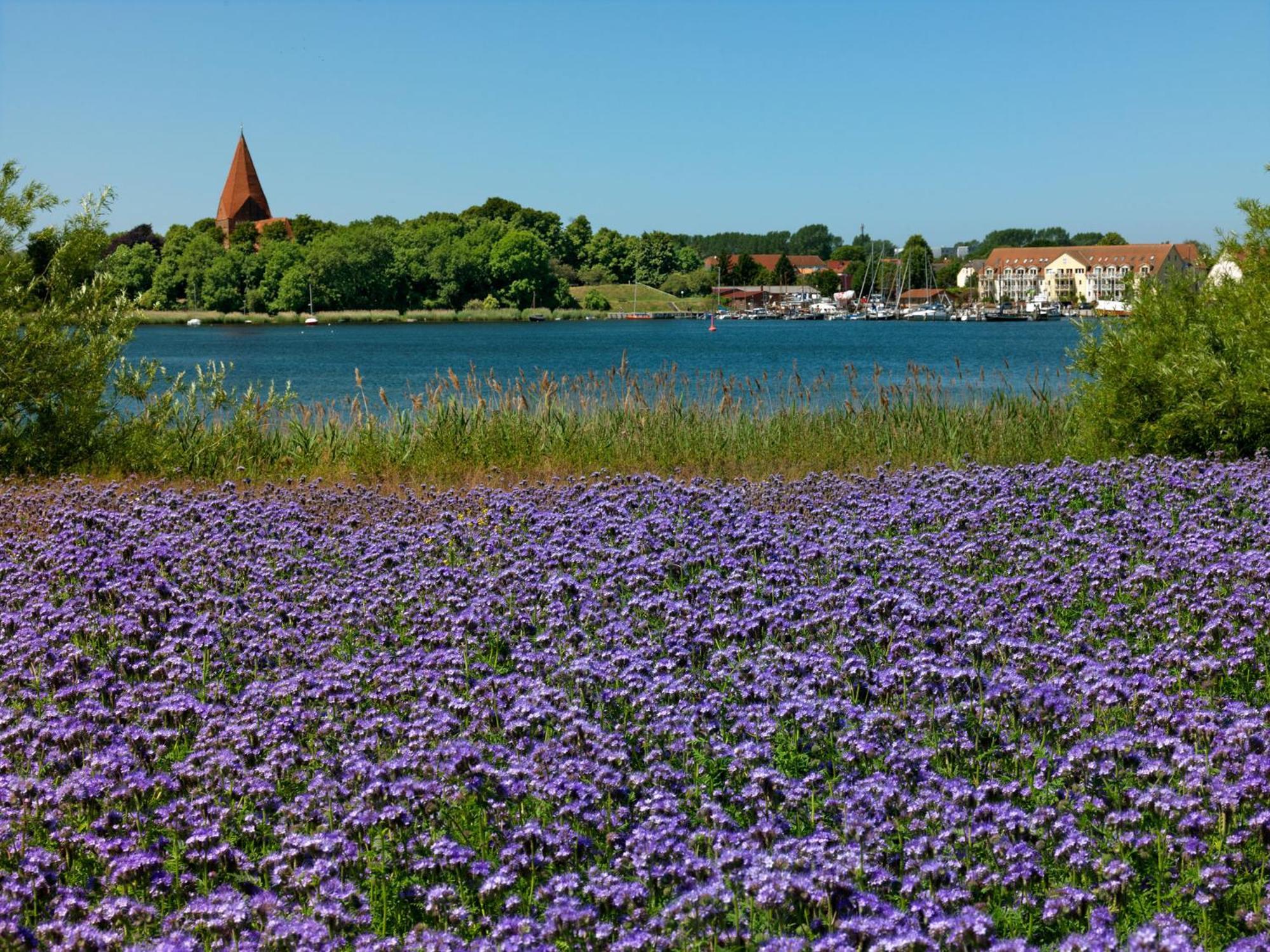 Residenz Am Yachthafen Windspiel Lägenhet Kirchdorf  Exteriör bild